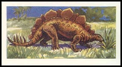 65CD 19 Scolosaurus.jpg